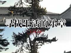 -五台山风景名胜区