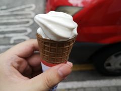 -富豪雪糕车流动点(尖沙咀店)