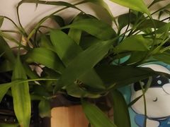 -重庆石磨豆花庄(乔庄店)