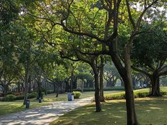 -白鹭洲公园