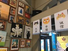 -猫咪博物馆(顶澳仔猫街店)