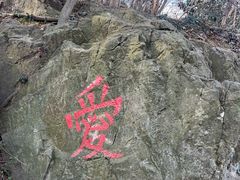 -紫金山山顶公园