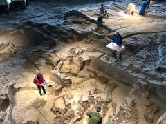 -自贡恐龙博物馆