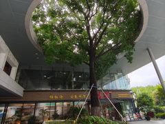 -金鸡湖景区