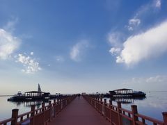 -乌梁素海景区