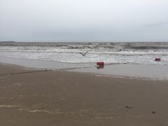 -南戴河旅游度假区