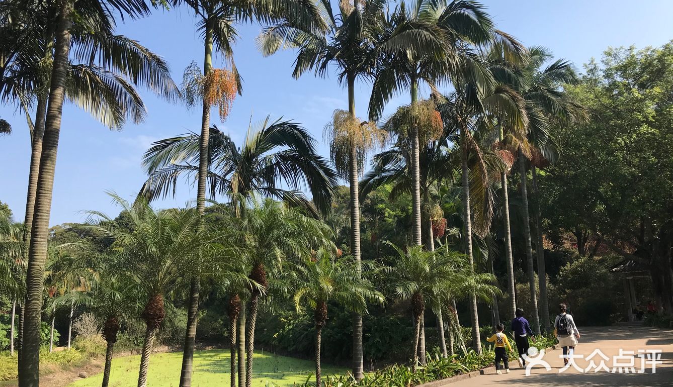 年初二与父母游西樵山