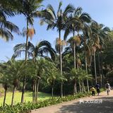 年初二与父母游西樵山