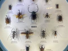 -舟山博物馆