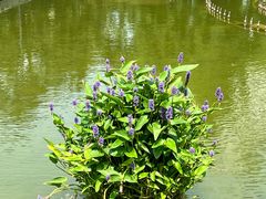 -常州古运河南大街文化旅游区-人民公园