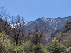 -陕西省红河谷森林公园