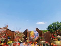 -深圳仙湖植物园