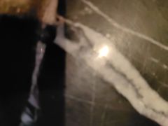 -广州白天鹅宾馆