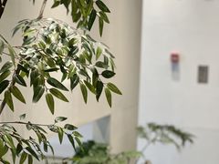 -湖锦酒楼·32年地道湖北菜(光谷店)