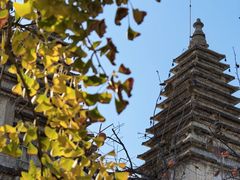 -北京石刻艺术博物馆(五塔寺)