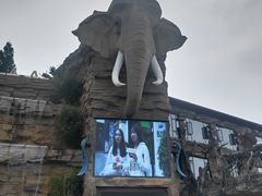 -贵州森林野生动物园