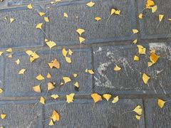 -高淳老街