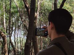 -重庆彩云湖湿地公园