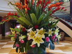 -红林大酒店RFcafe自助餐厅