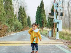 -合肥滨湖国家森林公园