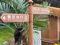 -青岛第二海水浴场