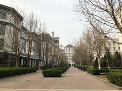 -首都师范大学科德学院