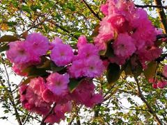 -幕燕滨江·长江观音景区