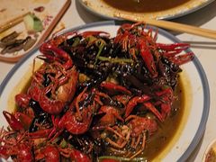 -杨氏青龙虾·羊蝎子(托乐嘉店)