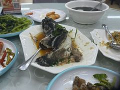清蒸石斑鱼-双月饭店·20年老字号(新村店)