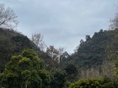 -黔灵山公园