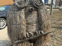 -嘉北郊野公园