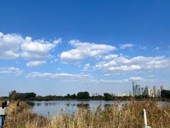 -群力丁香公园