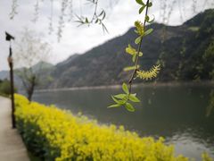 -新安江山水画廊风景区