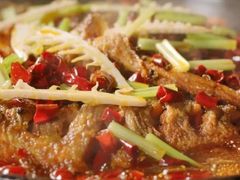 -老板恋上鱼(恒隆广场店)