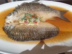 -醉辉皇原味海鲜江南菜(成都大魔方店)