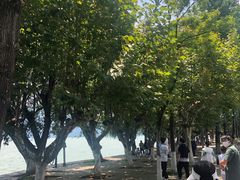 -滇池海埂公园