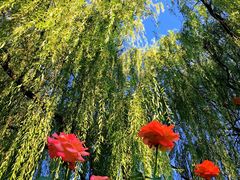 -北京宽沟会议中心