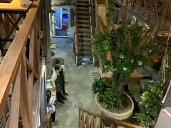 景观位-Rainforest