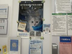 -思琪宠物医院(昆山花桥店)