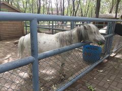 -长白岛森林公园