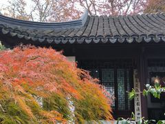 -秋霞圃