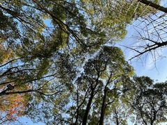 -WeLope紫金山探险公园