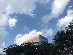 -乐天免税店(明洞店)