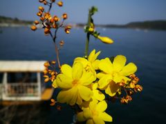 -仙海旅游度假区