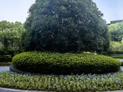 -苏州清山会议中心