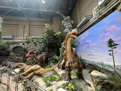 -国家自然博物馆