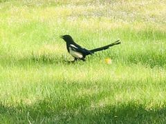 -森林公园(尖草坪区)