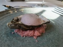 -北京古城老院厉晓麟精致菜