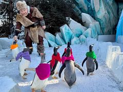 -波塞冬旅游度假区