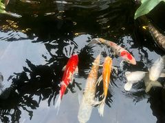 -聚福宝合苑食府(南头镇店)